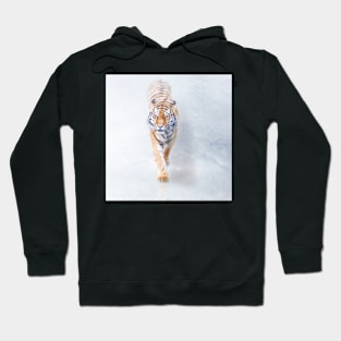 Out of the mist ---- Hoodie